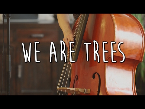 Sebastian Goldberg Quartet / We are Trees