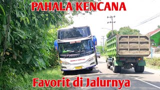 Download lagu Hunting Bus Sumatera, Pahala Kencana Favorit di Jalur Prabumulih dan sekitarnya. mp3