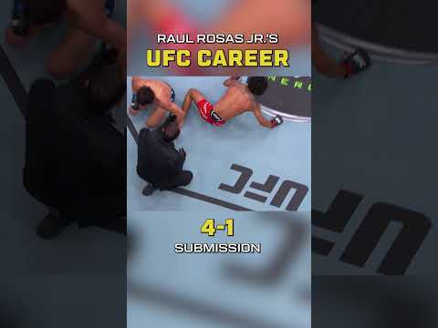 UFC video artwork