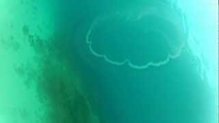 preview picture of video 'GoPro: Jellyfish in Sapzurro Colombia'