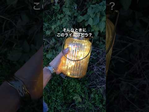 園芸 庭のLED技術