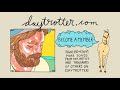 Neil Halstead - Love Is A Beast - Daytrotter Session