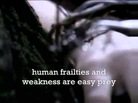 Carcass - No love lost (Lyrics)