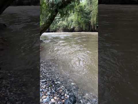 Rio ovejas municipio de caldono Cauca