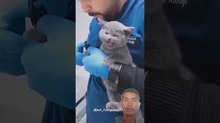 Download lagu ketika kucing takut disuntik#kucing #cat #takut #lucu #funny #suntik #viralshorts  #shorts mp3