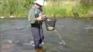 Blackfoot River - Prime Cutthroat and Rainbow Trout Fly Fishing