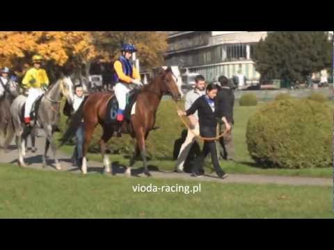 Gon. II - 20.10.2012 - Pradoria (Tuz - Pisarka)