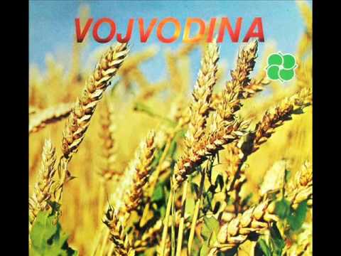 Vera Cvetko Cvetinović - Zvoni zvonce