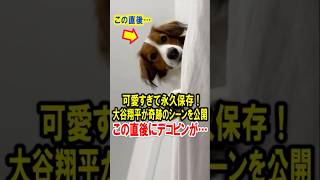 可愛すぎて永久保存！大谷翔平が奇跡のシーンを公開！この直後にデコピンが…