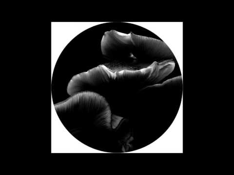 Joachim Spieth - Shadows [AFFIN035LTD]