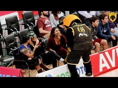 Η Παρακάμερα του ΑΕΚ - Rosa Radom | AEK BC