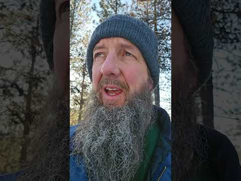 Karl Olson #dumprun #gke #cold #toque #tuque #freezing #beautiful #Abbotsford #Canada