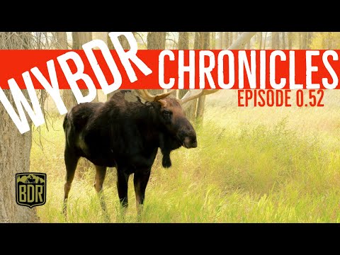 WYBDR Chronicles Episode 0.52
