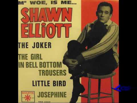 Shawn Elliott - The Joker