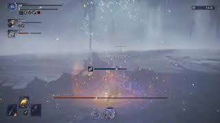 [アクション]エルデンリング ナイトレイン#11 常夜カリゴと戦いたい！
