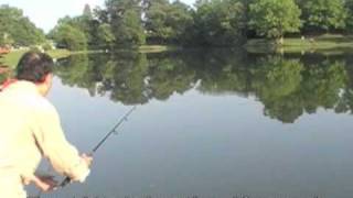 60 Second Trout Fishing System *ILLEGAL IN SOME AREAS*