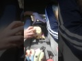Spongebob And Patrick Plush Adventures Part 3
