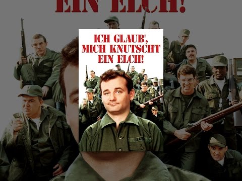 Ich glaub', mich knutscht ein Elch!