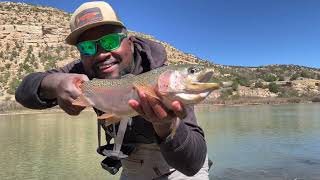 Tiny Flies, BIG Trout! San Juan River Delivers INSANE Action!