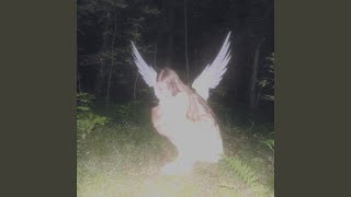 Cover art for Animal cannibal