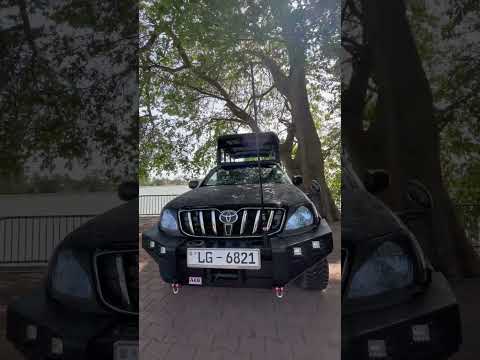 Dinuka safari srilanka 🇱🇰 Yala National park 🌿🦌🦚🐘 book now+94741003585 www.dinukasafari.com #dinuka