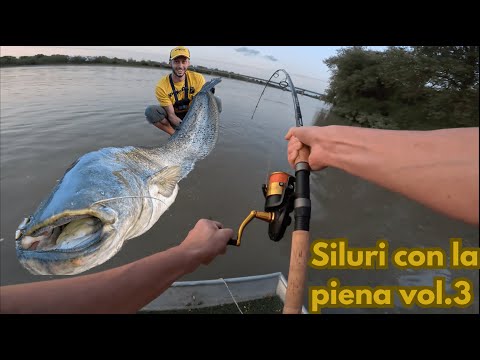 Siluri con la piena vol.3 - INSANE fight