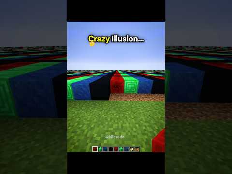 Minecraft Crazy Illusion...🤯