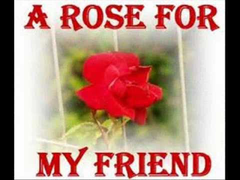 bolorood monitagaas n facebook opozit group