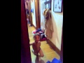 Gummy Bear In My Underwear Song Dec 2012