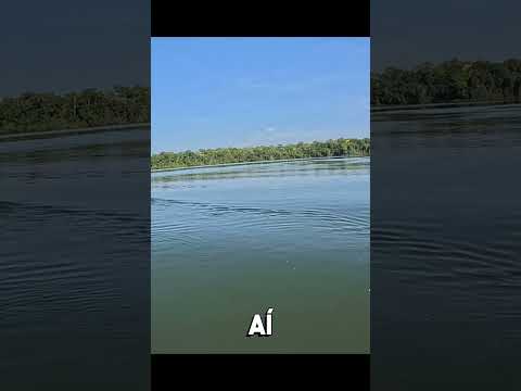 Cateto atravessando o Rio Juruena.