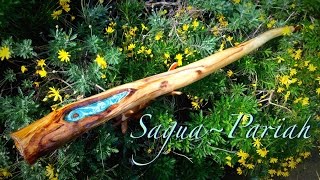 "Saguah~Pariah" - 432 tuned Ancient Aspen super didge! Machu Didgeridoo #88