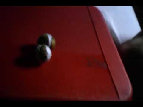 A batalha de bolinha mais épica do mundo