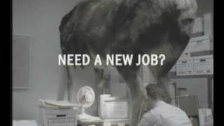 funny advert involving a moose Video