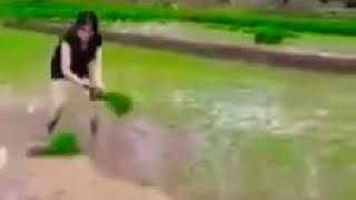 Download lagu Cewek cantik tandur mp3