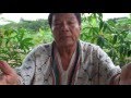 Shipibo Chamán Explica Ayahuasca y Plantas Medicinales, Julio Urquia Ramírez