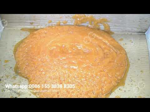 Papaya Fruit Pulp Processing Line