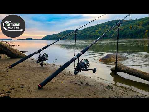 Will This Improve My Catch Rate? (Big River Carp Fishing)