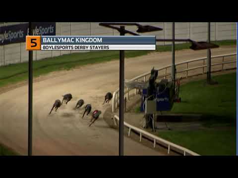 2020 BOYLESPORTS DERBY STAYERS - T5 BALLYMAC KINGDOM