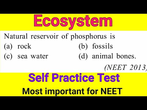 Biology self practice (Abhyas) test || Ecosystem ||...