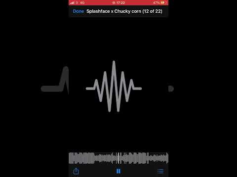Splashface x Chucky x ch corn