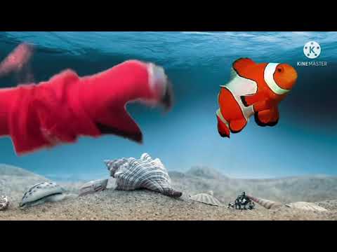 Special Crastic Puppets - Pain Compilation