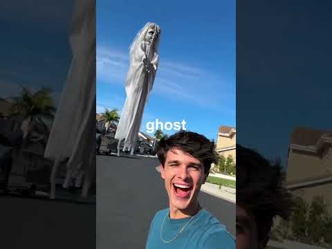 The best Halloween prank😂