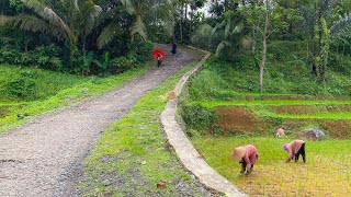 Download lagu Layaknya Lukisan Jalan Di Pedesaan Ini | Di Tunjukin Ke Kampung Indah & Sejuk | Bungbulang, Garut mp3