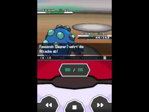 Pokémon Kampf vom 31.10.2013