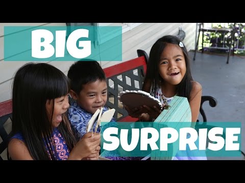 BIG SURPRISE FOR THE KIDS! | MommyTipsByCole Video