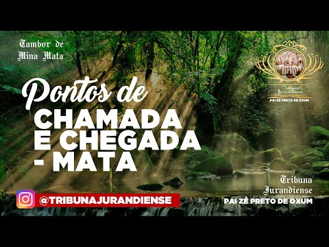 Pontos de Chamada e Chegada de Caboclo - Mata
