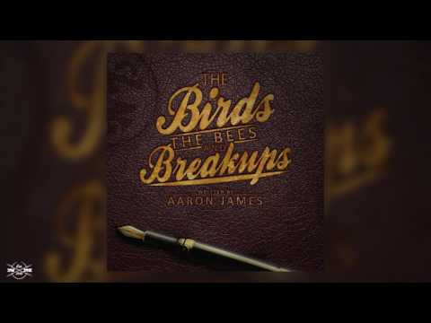 Aaron James - Reminiscing (Official Audio)