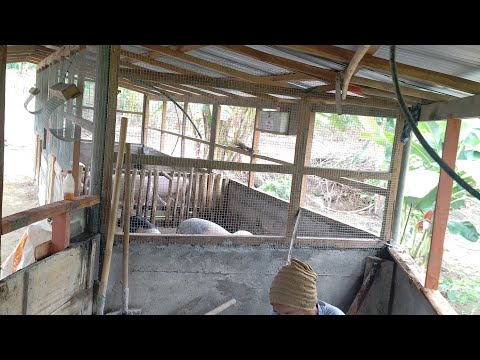 Mi Bonra, Hranghlui Pu Biaka Kawmna