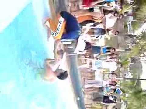 Baby o Porquinho no Intermed