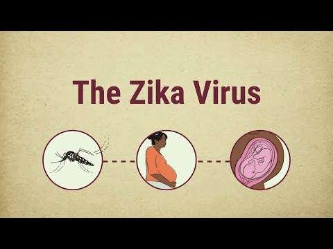The Zika Virus: Behaviors That Reduce the Risk of the Zika virus and thus Congenital Zika Syndrome. Video thumbnail